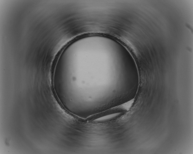 X0000091370935200708241330