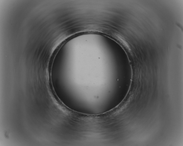 X0000091370936200708241330