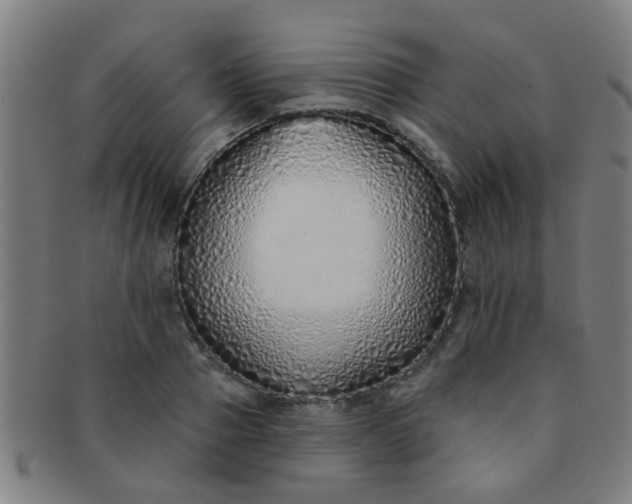 X0000091370937200708241330