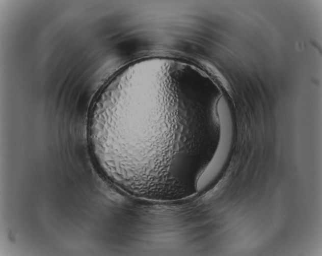 X0000091370938200708241330