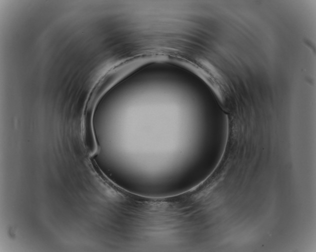 X0000091370940200708241330