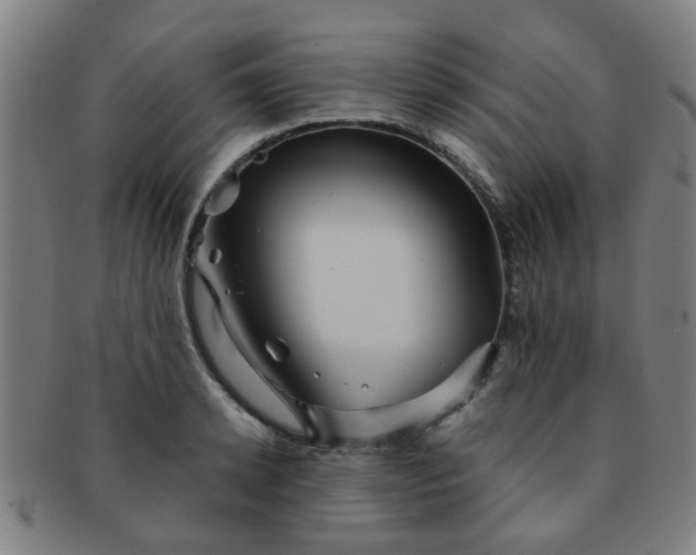 X0000091370942200708241330