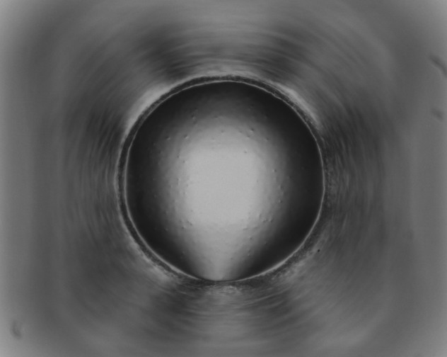 X0000091370943200708241330