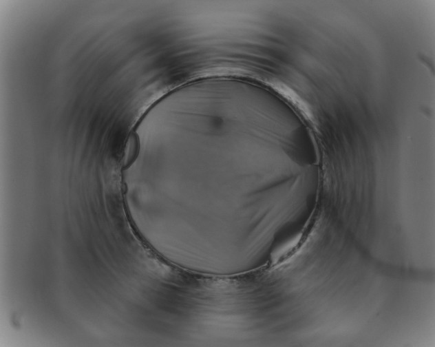 X0000091370945200708241330