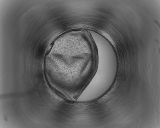 X0000091370946200708241330