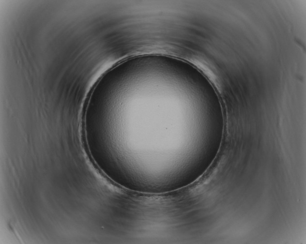 X0000091370949200708241330