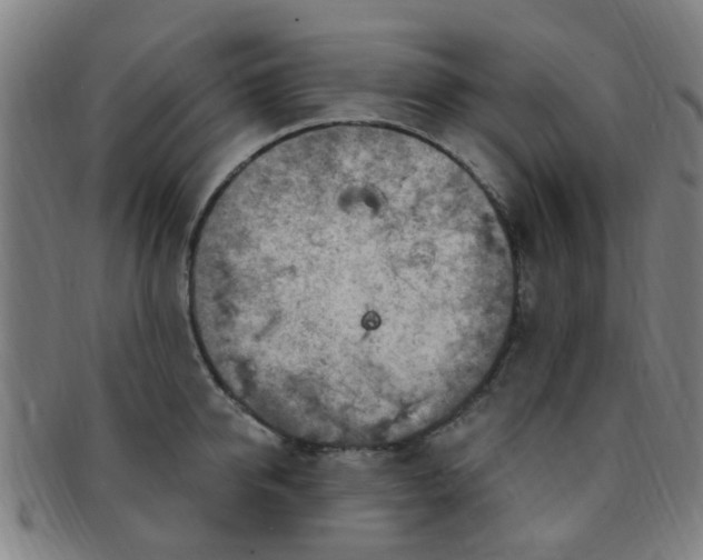 X0000091370950200708241330