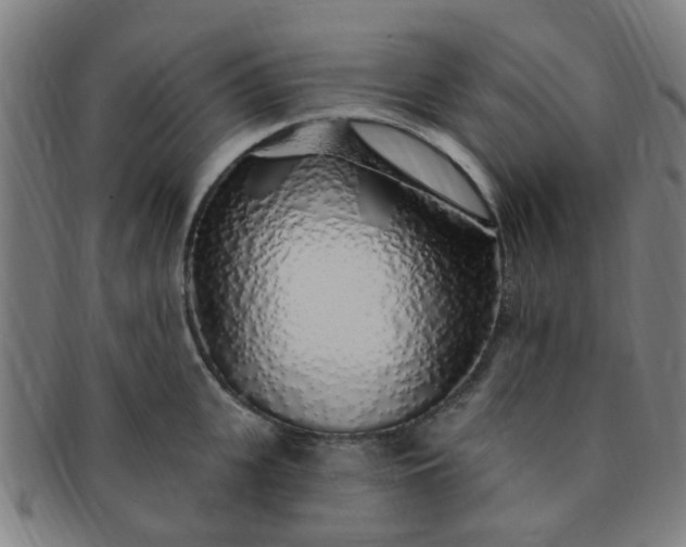 X0000091370951200708241330