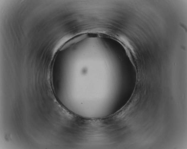 X0000091370952200708241330