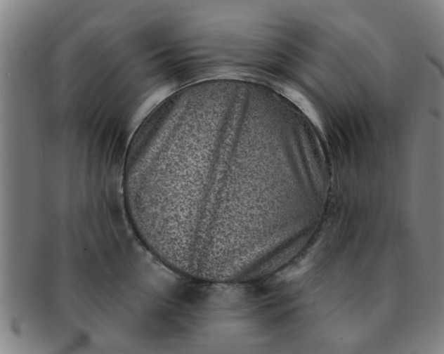 X0000091370954200708241330