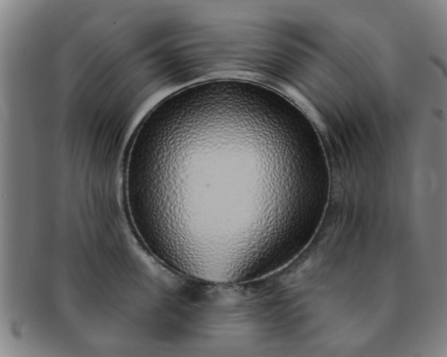 X0000091370955200708241330