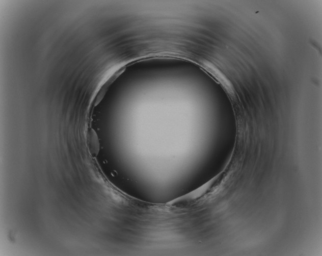 X0000091370956200708241330