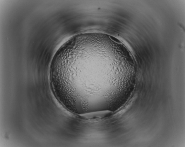 X0000091370957200708241330