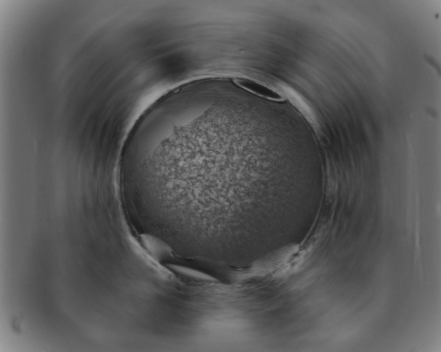 X0000091370958200708241330