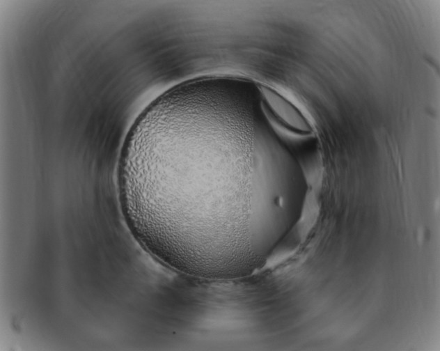 X0000091370959200708241330