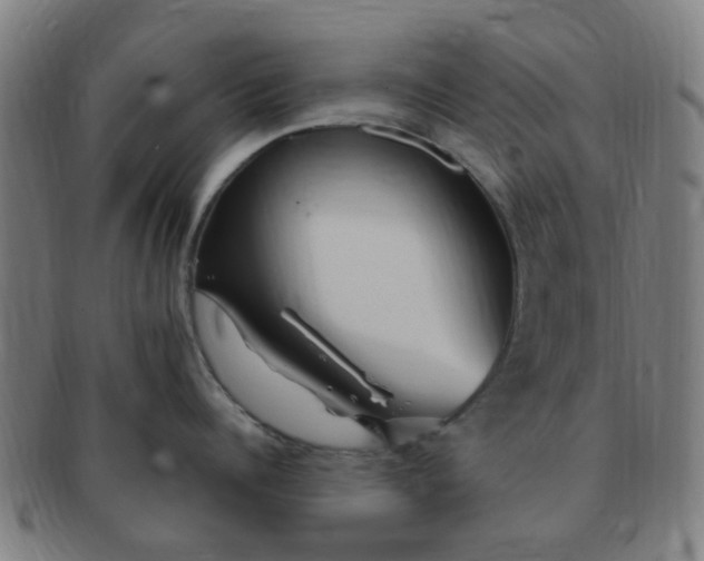 X0000091370960200708241330