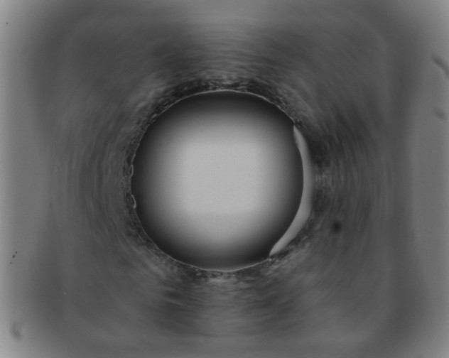 X0000091370961200708241329