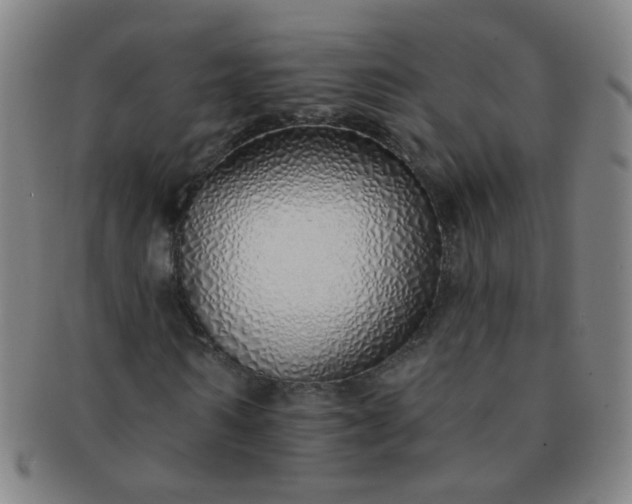 X0000091370962200708241329