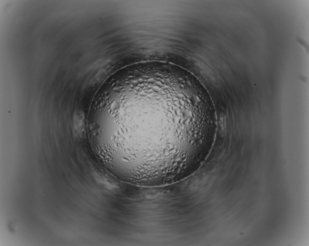 X0000091370963200708241329