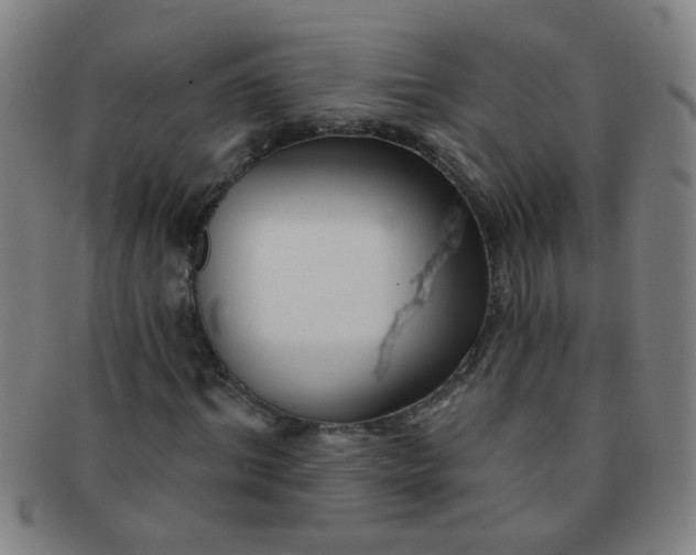 X0000091370964200708241329