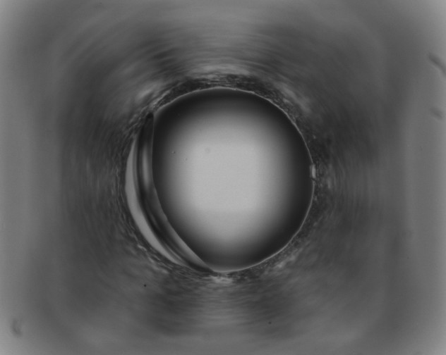 X0000091370965200708241329