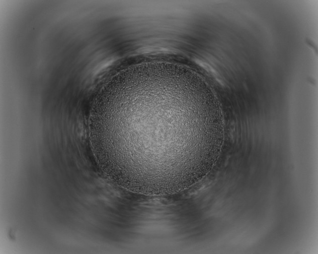 X0000091370966200708241329