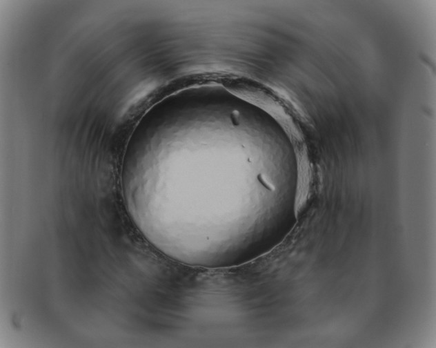 X0000091370967200708241329