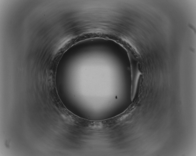 X0000091370968200708241329