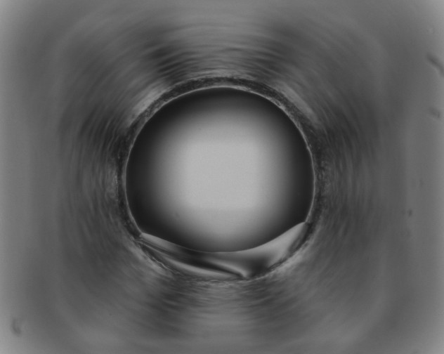 X0000091370969200708241329