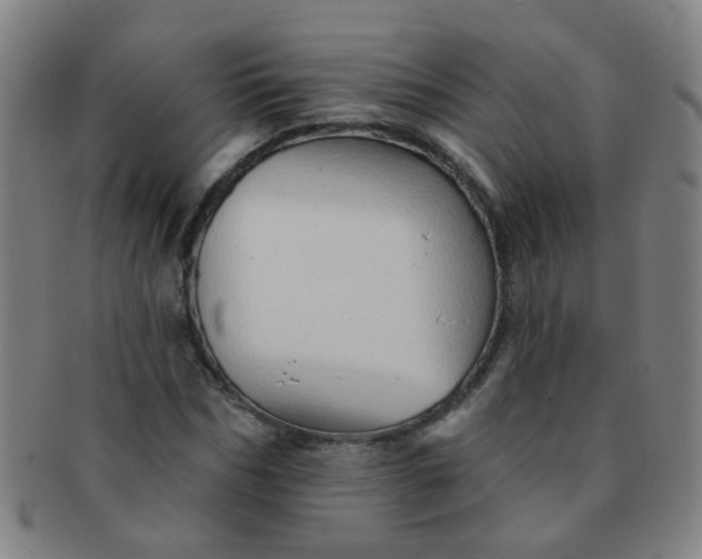 X0000091370970200708241329