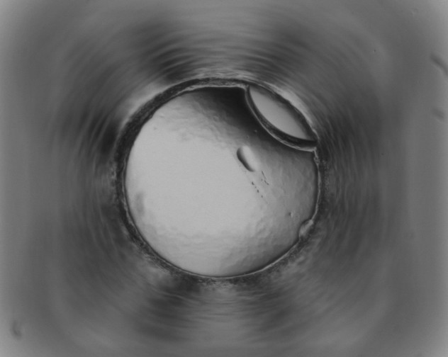 X0000091370971200708241329