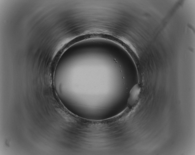 X0000091370973200708241329