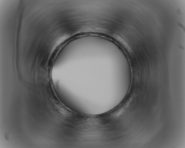 X0000091370974200708241329