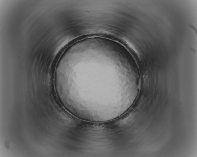 X0000091370975200708241329