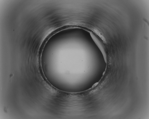 X0000091370976200708241329