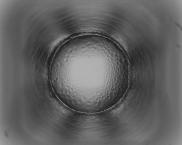 X0000091370979200708241329