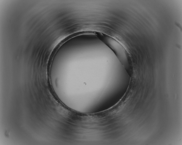 X0000091370980200708241329