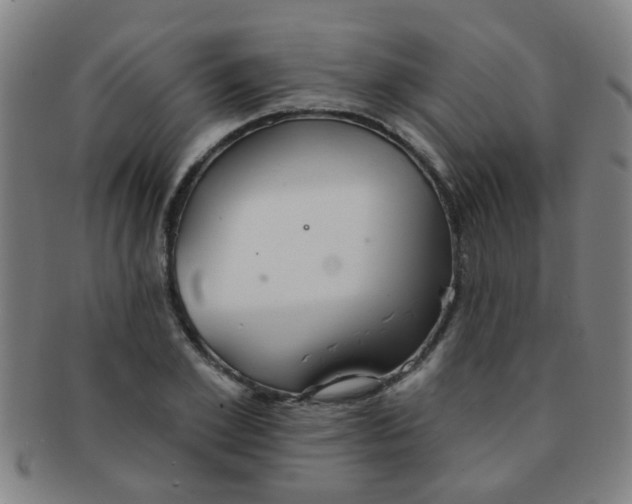 X0000091370981200708241329