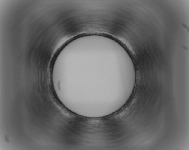 X0000091370982200708241329