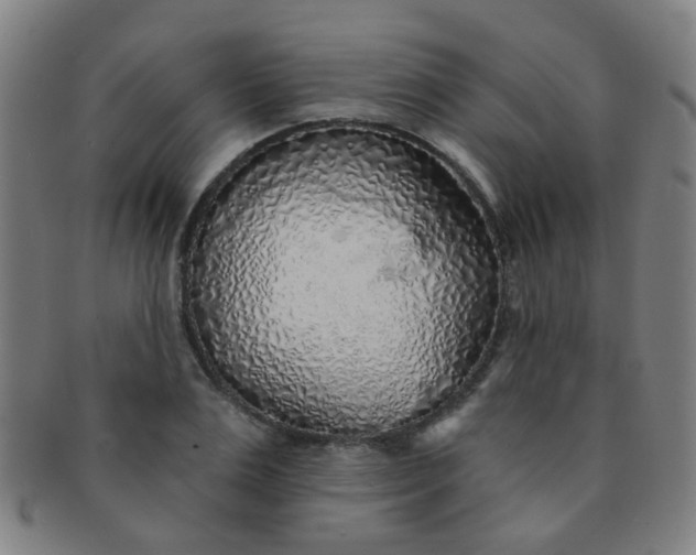 X0000091370983200708241329