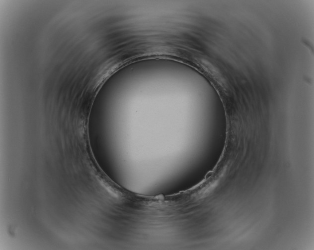 X0000091370985200708241329