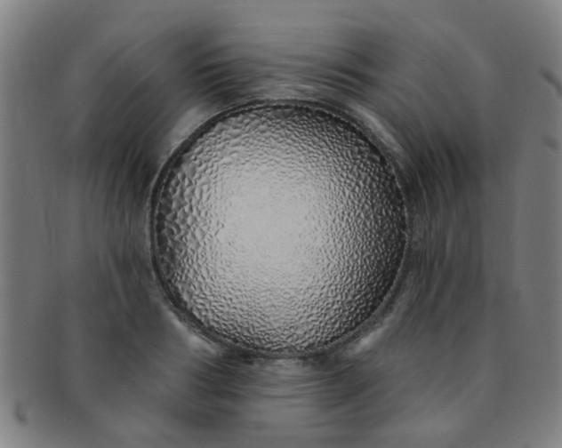 X0000091370986200708241329