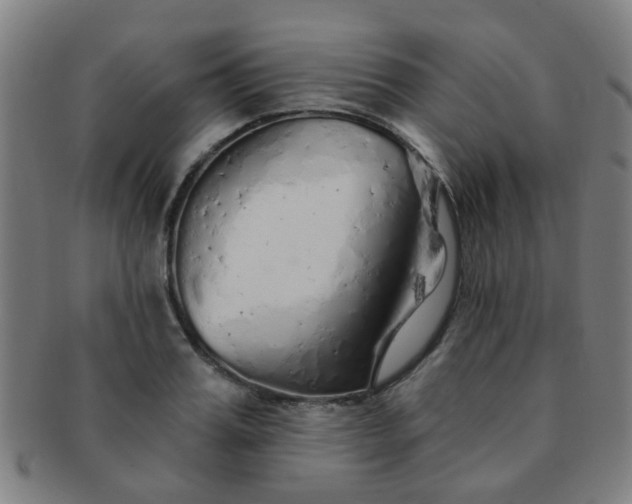 X0000091370987200708241329