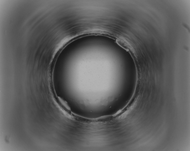 X0000091370989200708241329