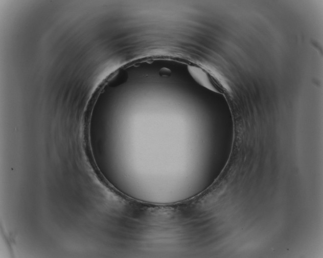 X0000091370991200708241329