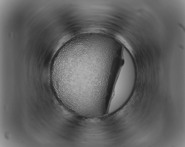 X0000091370994200708241329