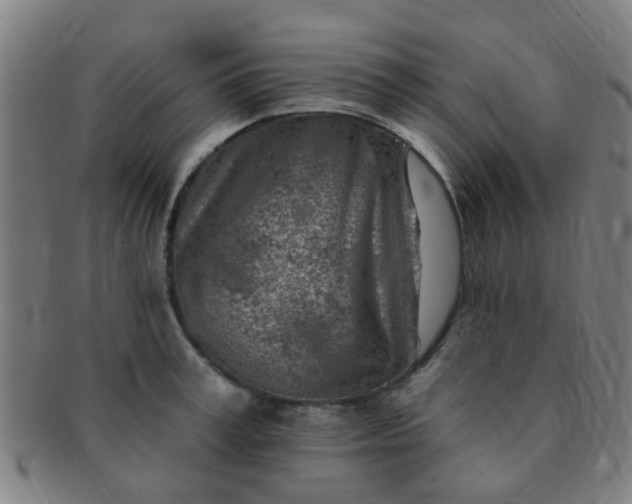 X0000091370995200708241329