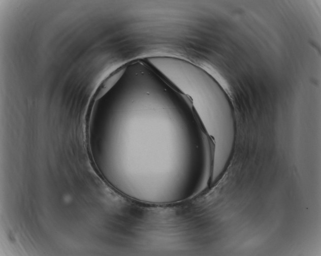 X0000091370996200708241329