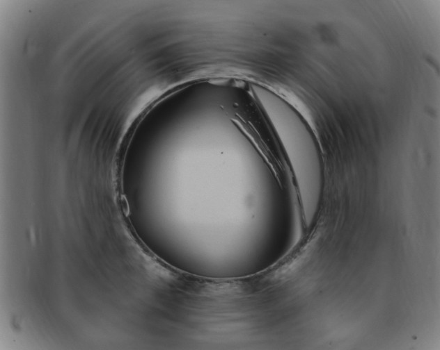 X0000091370997200708241329