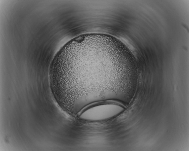 X0000091370998200708241329